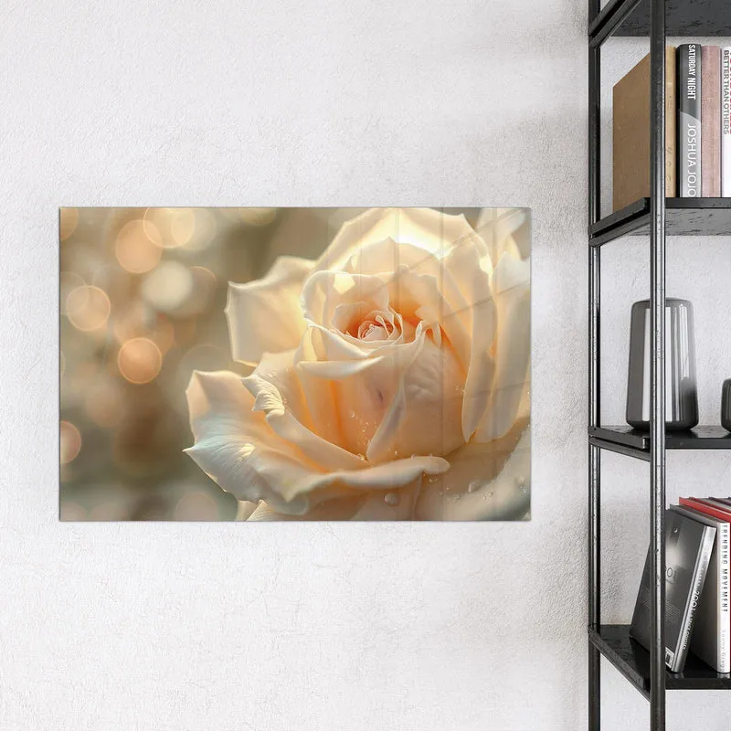 Magnettafel - Rose mit Wassertropfen