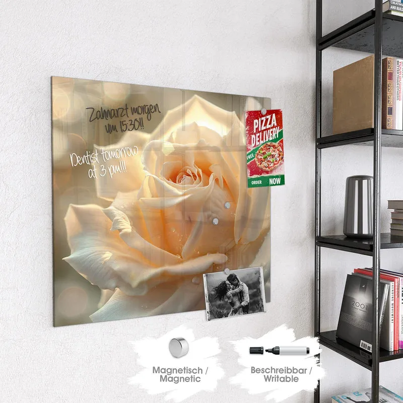 Magnettafel - Rose mit Wassertropfen