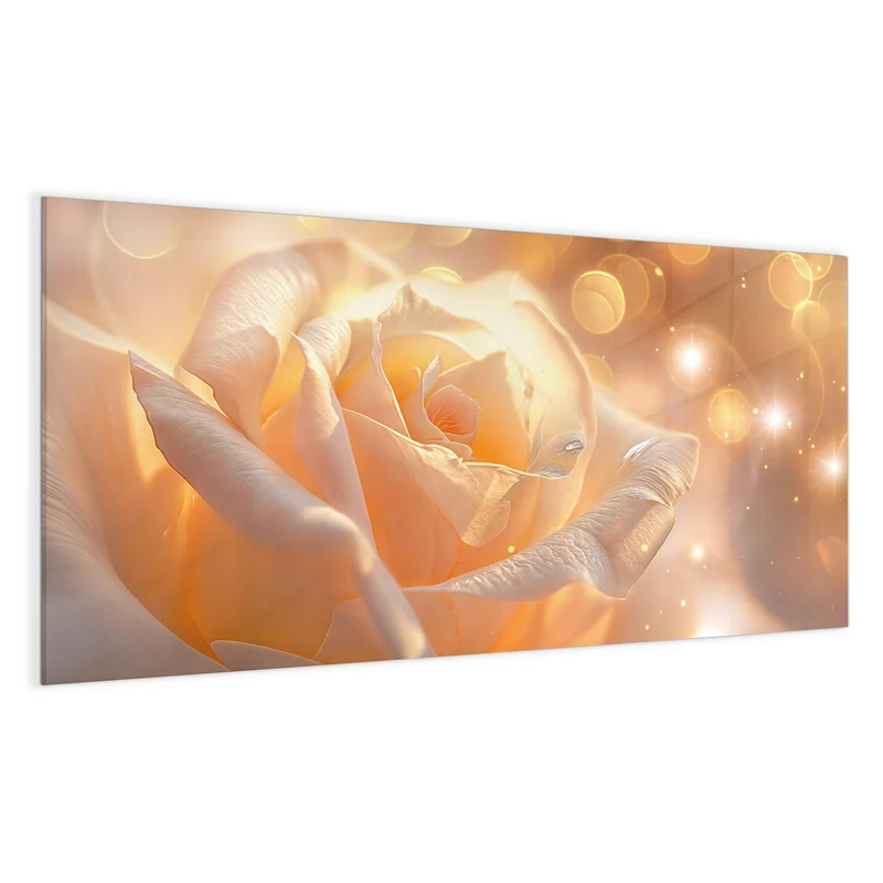 Magnettafel - Apricotfarbene Rose