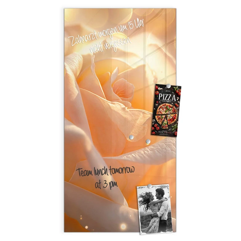 Magnettafel - Apricotfarbene Rose