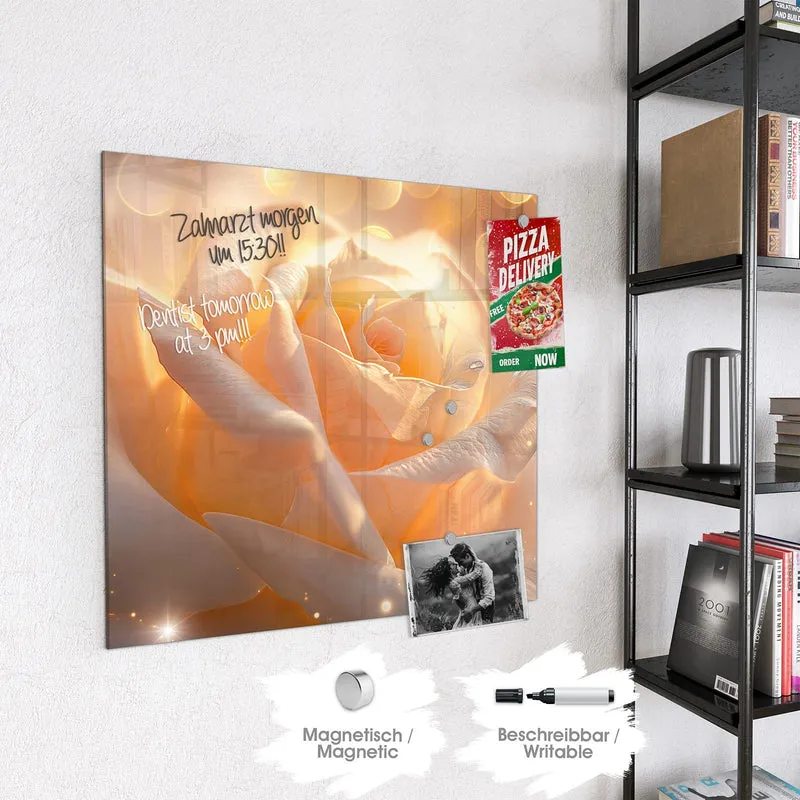 Magnettafel - Apricotfarbene Rose