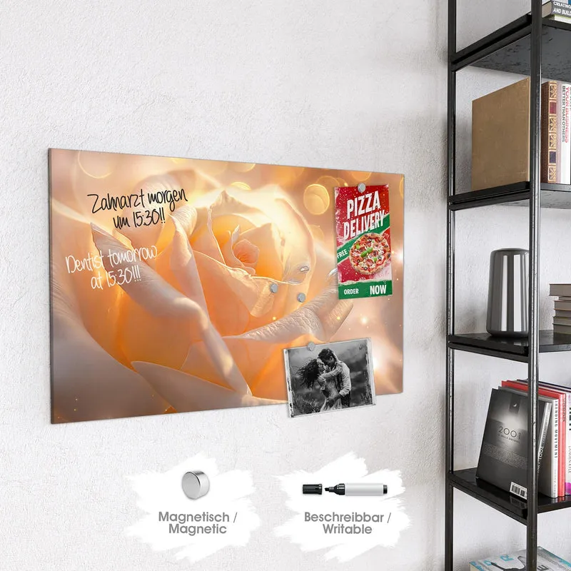Magnettafel - Apricotfarbene Rose