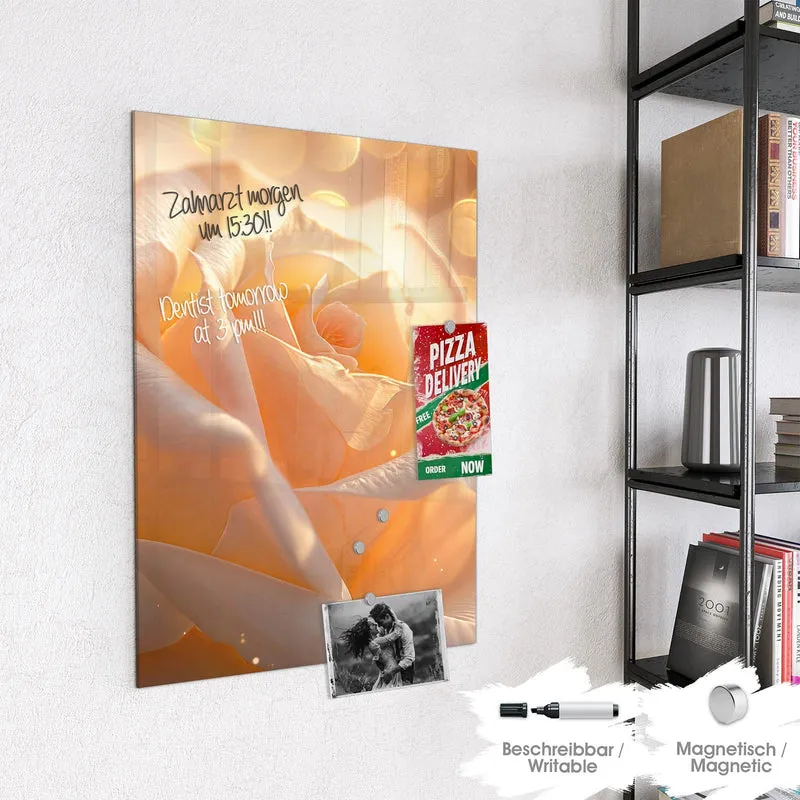 Magnettafel - Apricotfarbene Rose