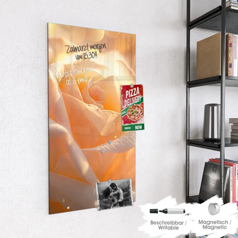 Magnettafel - Apricotfarbene Rose