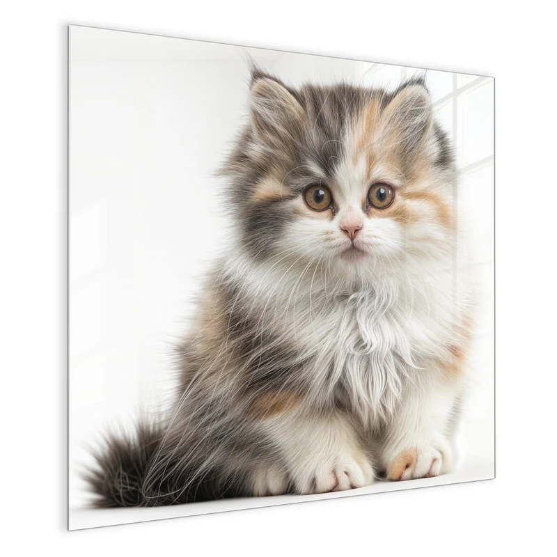 Magnettafel - Flauschige Katze