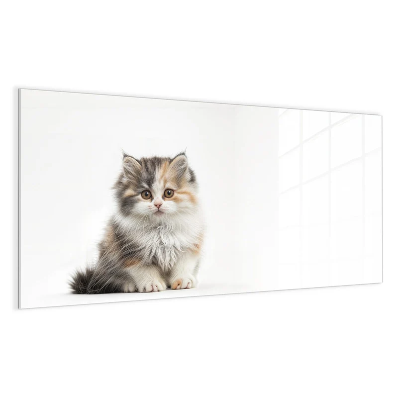 Magnettafel - Flauschige Katze