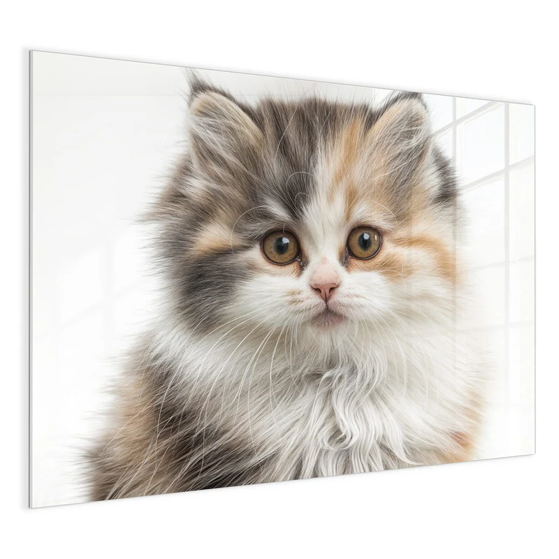 Magnettafel - Flauschige Katze