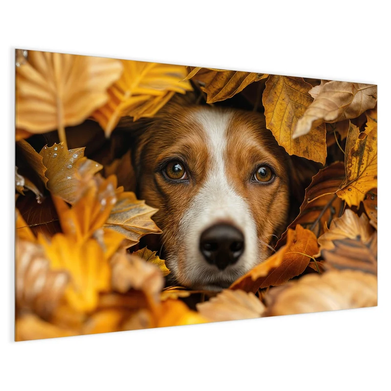 Magnettafel - Hund im Herbstlaub