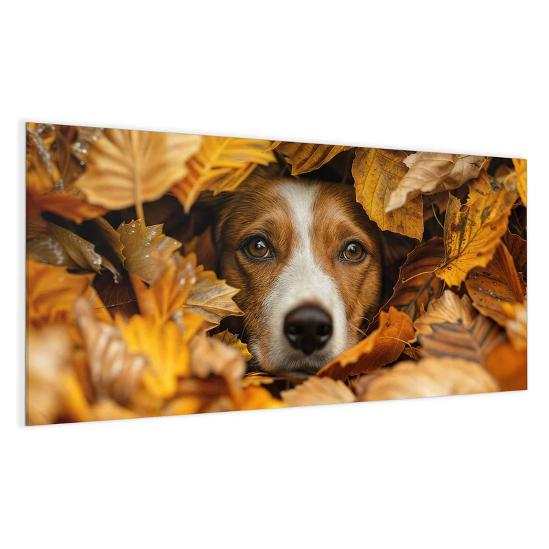 Magnettafel - Hund im Herbstlaub