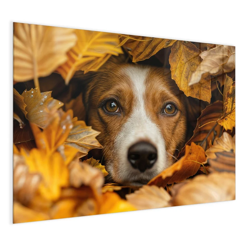 Magnettafel - Hund im Herbstlaub