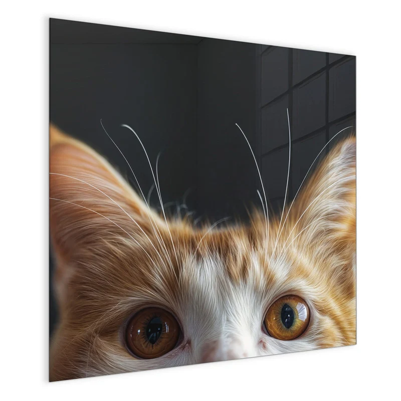 Magnettafel - Katze mit Bernsteinaugen
