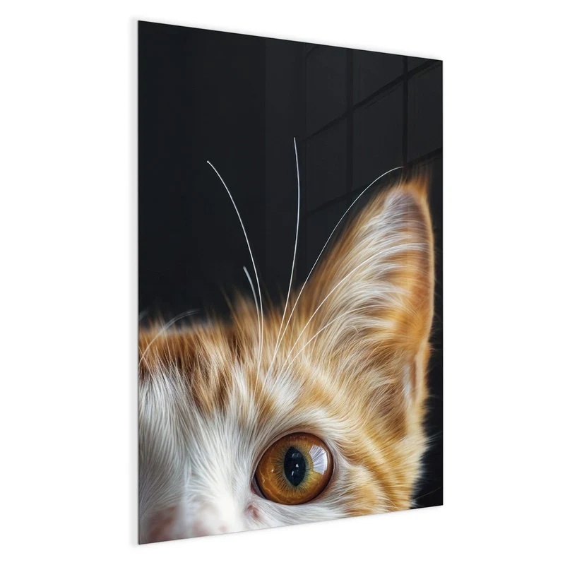 Magnettafel - Katze mit Bernsteinaugen