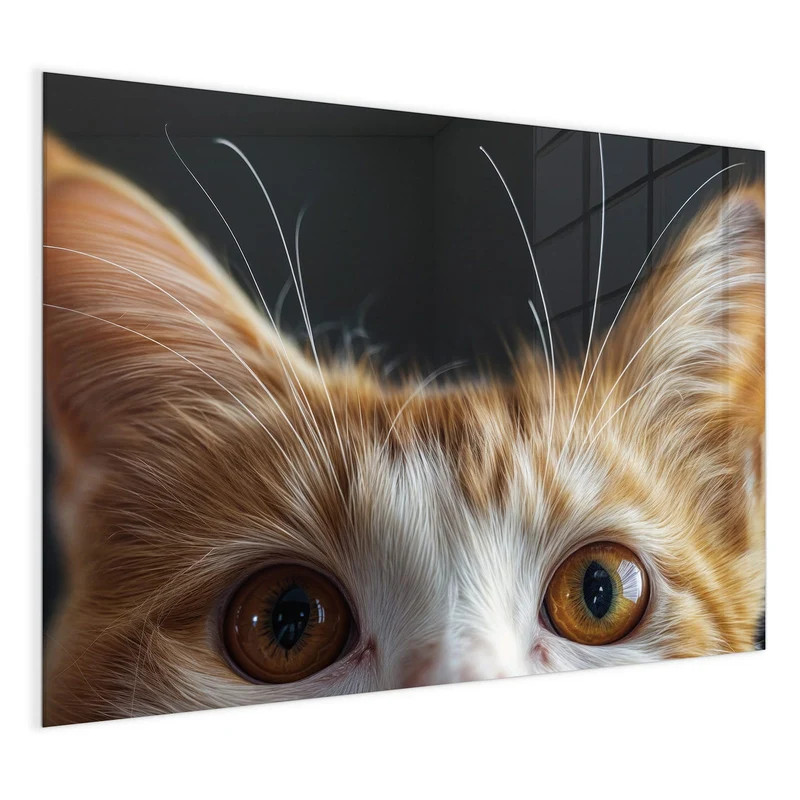 Magnettafel - Katze mit Bernsteinaugen