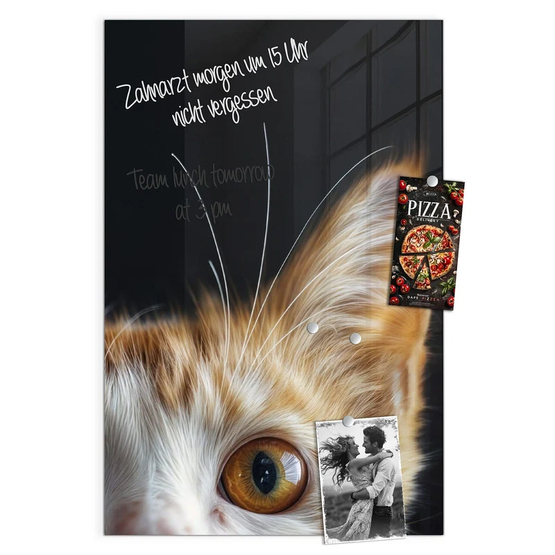 Magnettafel - Katze mit Bernsteinaugen