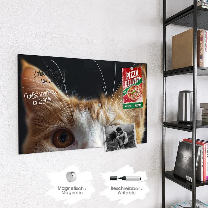Magnettafel - Katze mit Bernsteinaugen
