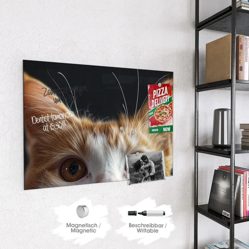 Magnettafel - Katze mit Bernsteinaugen