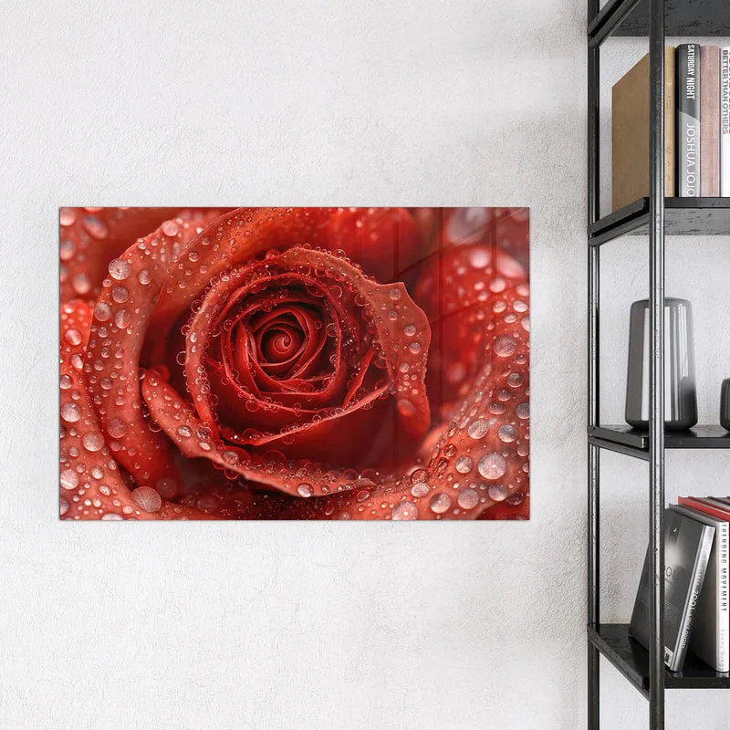 Magnettafel - Rote Rose mit Tropfen