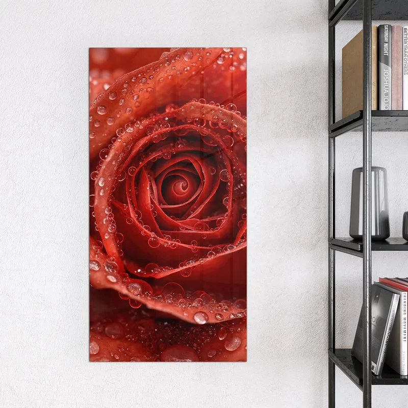 Magnettafel - Rote Rose mit Tropfen