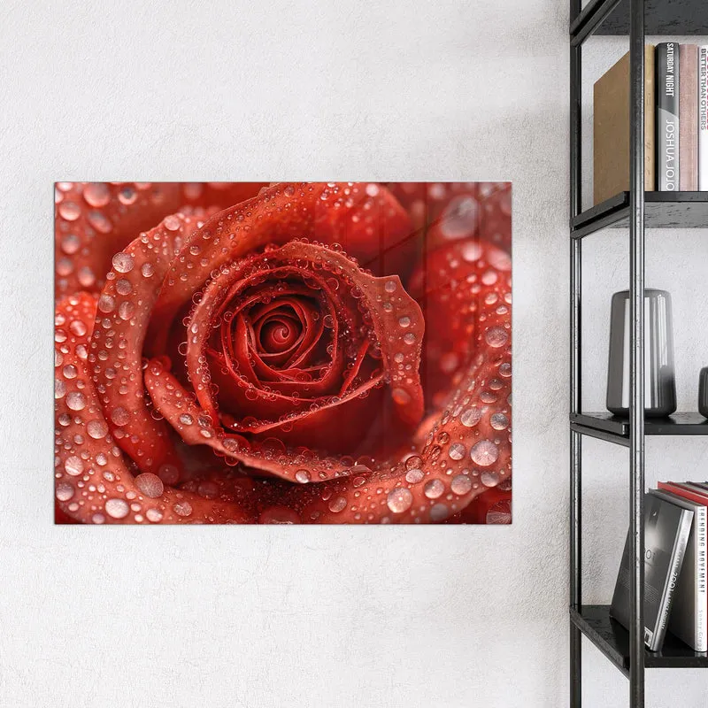 Magnettafel - Rote Rose mit Tropfen