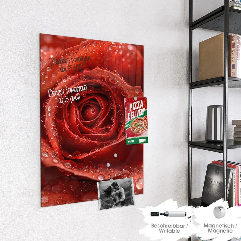 Magnettafel - Rote Rose mit Tropfen
