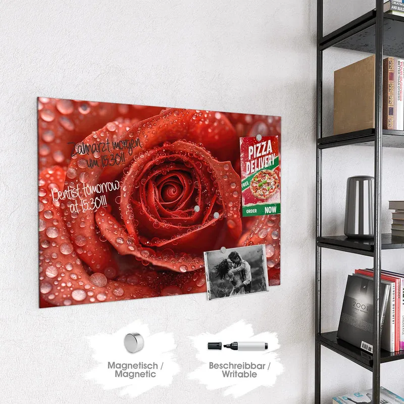 Magnettafel - Rote Rose mit Tropfen