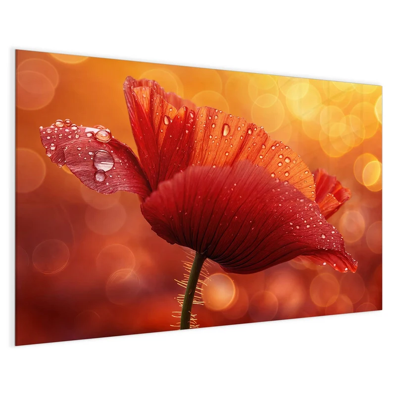 Magnettafel - Mohn mit Tautropfen