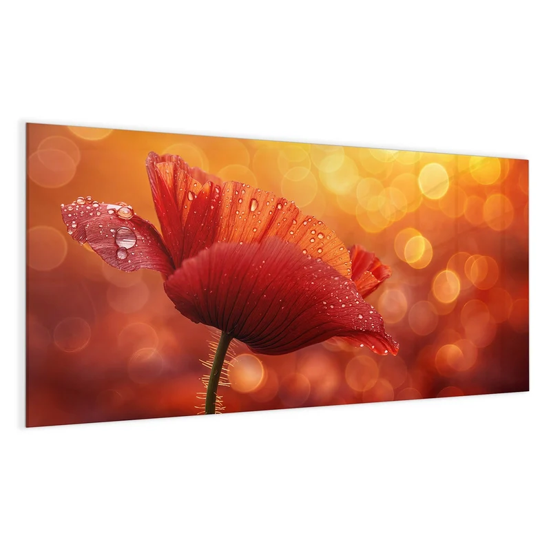 Magnettafel - Mohn mit Tautropfen