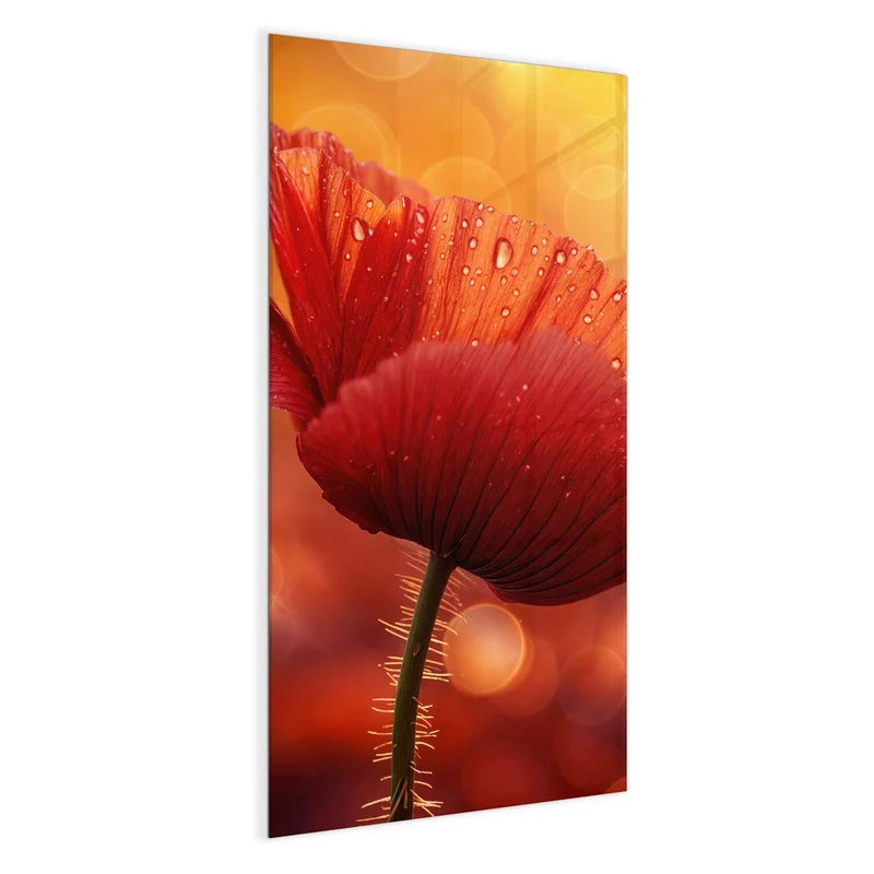 Magnettafel - Mohn mit Tautropfen