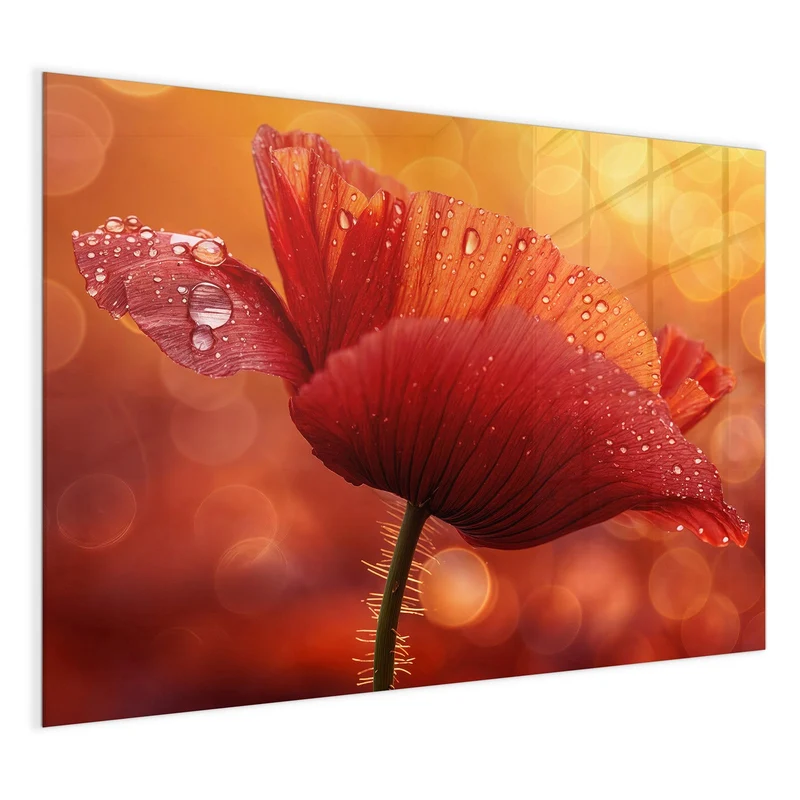Magnettafel - Mohn mit Tautropfen