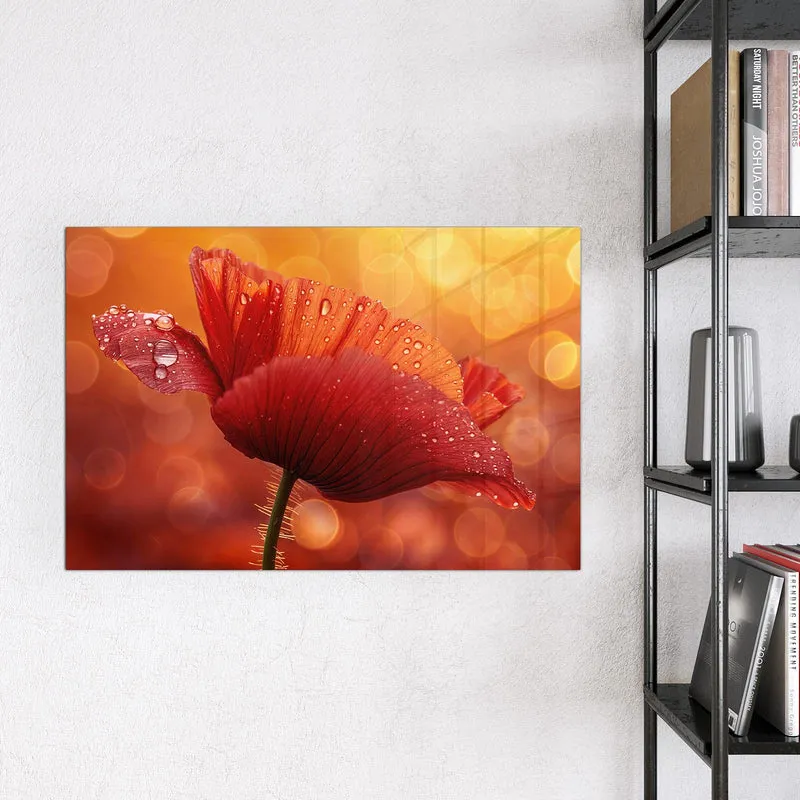 Magnettafel - Mohn mit Tautropfen
