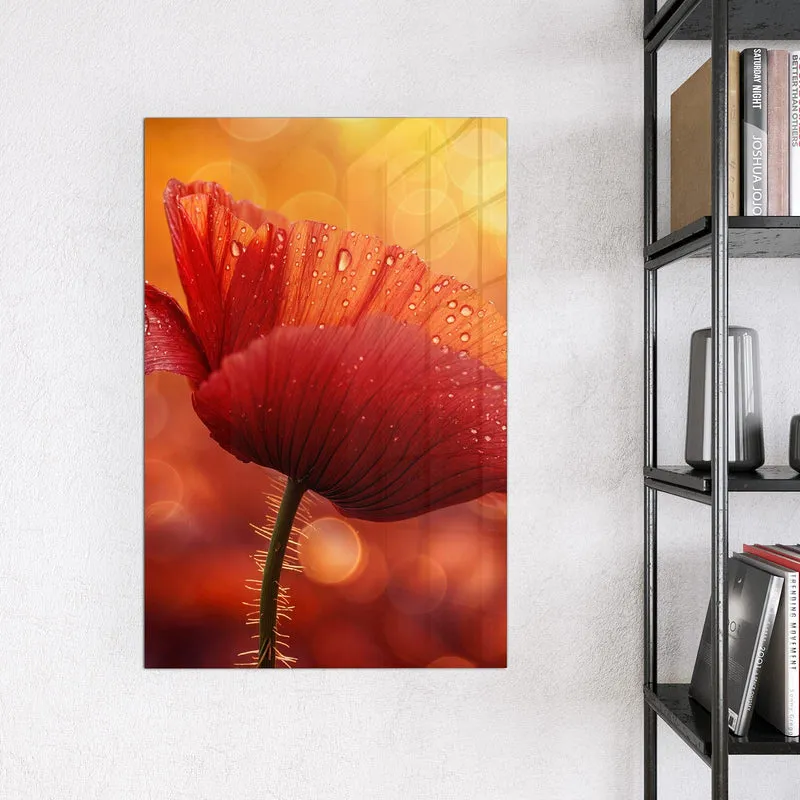 Magnettafel - Mohn mit Tautropfen