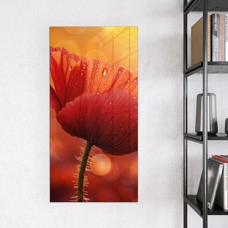 Magnettafel - Mohn mit Tautropfen