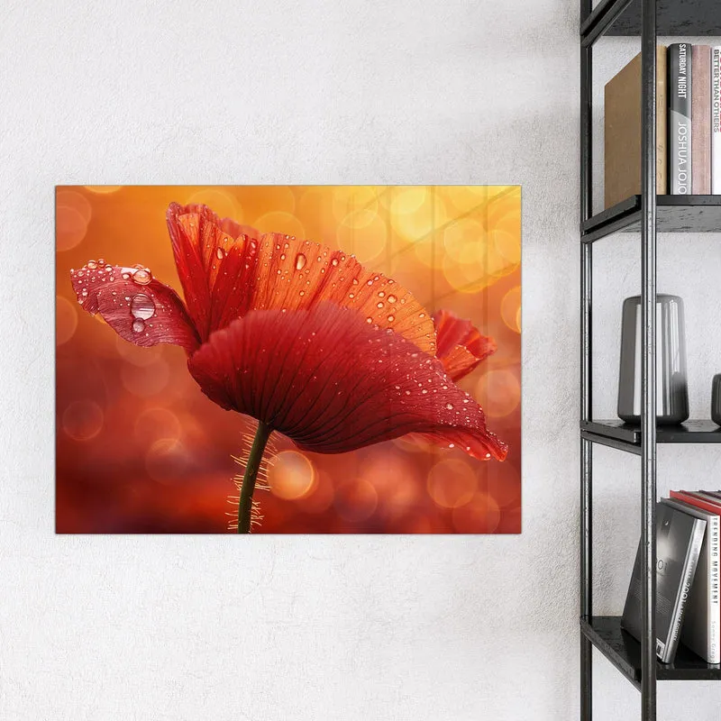 Magnettafel - Mohn mit Tautropfen