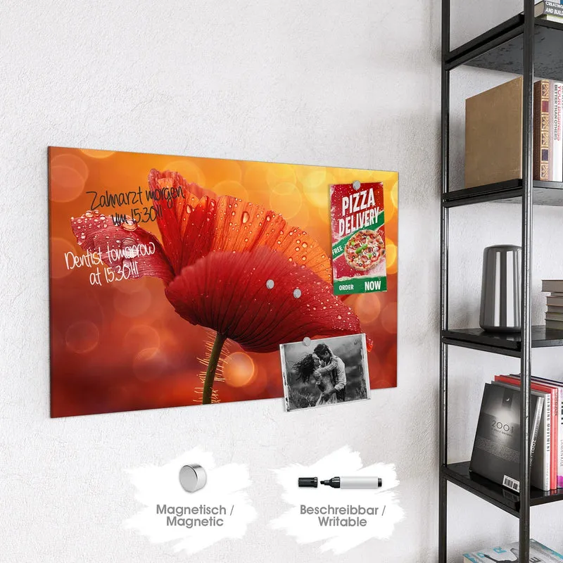 Magnettafel - Mohn mit Tautropfen
