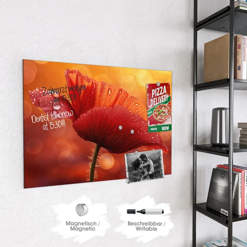 Magnettafel - Mohn mit Tautropfen