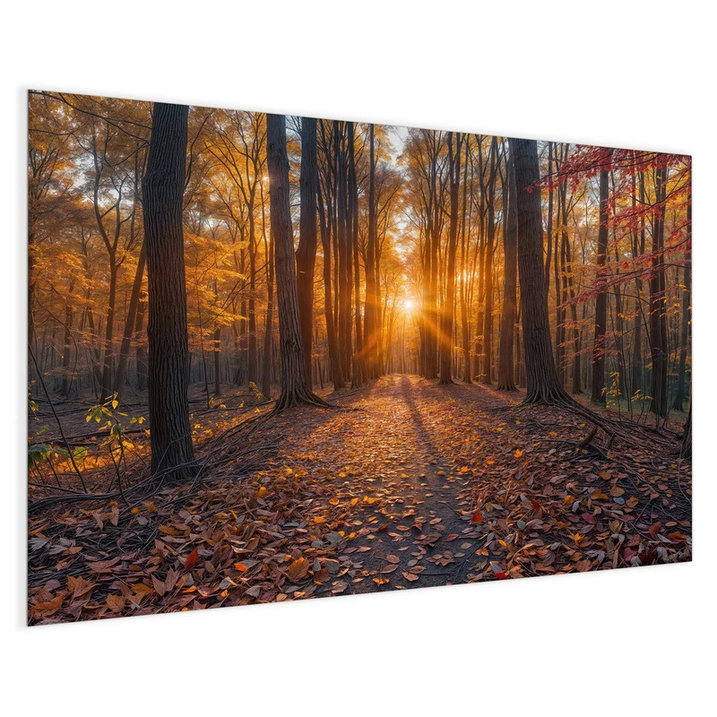 Magnettafel - Sonne im Herbstwald
