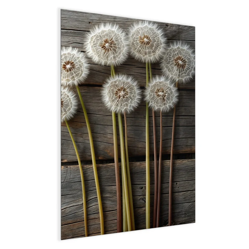 Magnettafel - Pusteblumen auf Holz