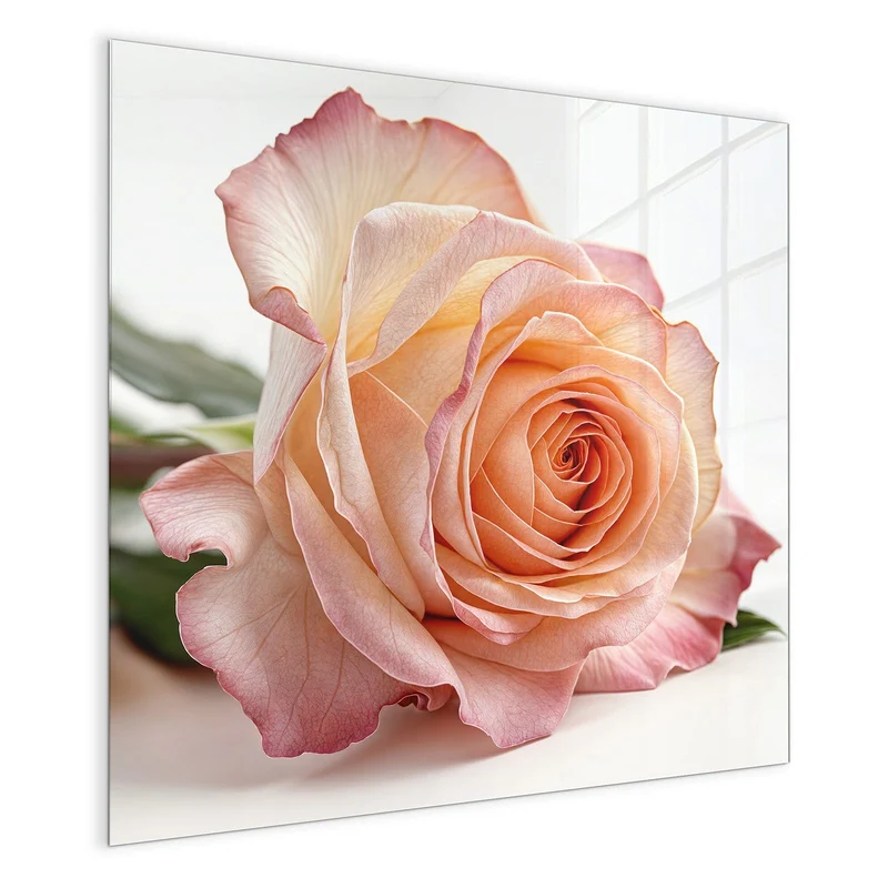 Magnettafel - Rose in Apricot