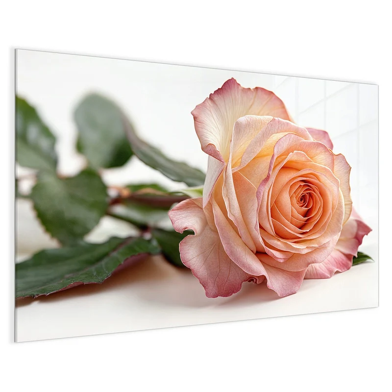 Magnettafel - Rose in Apricot
