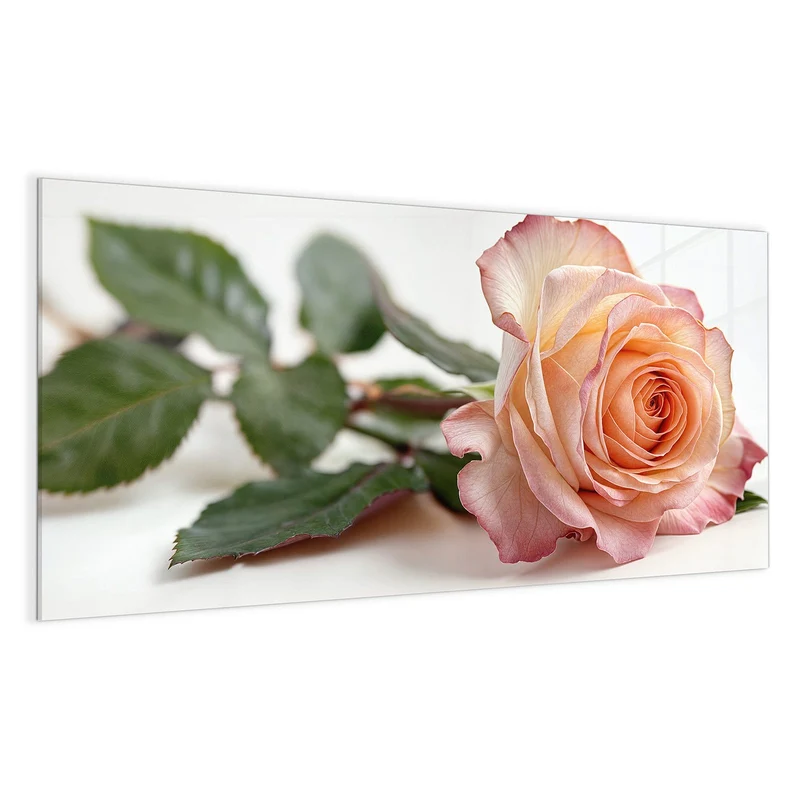 Magnettafel - Rose in Apricot