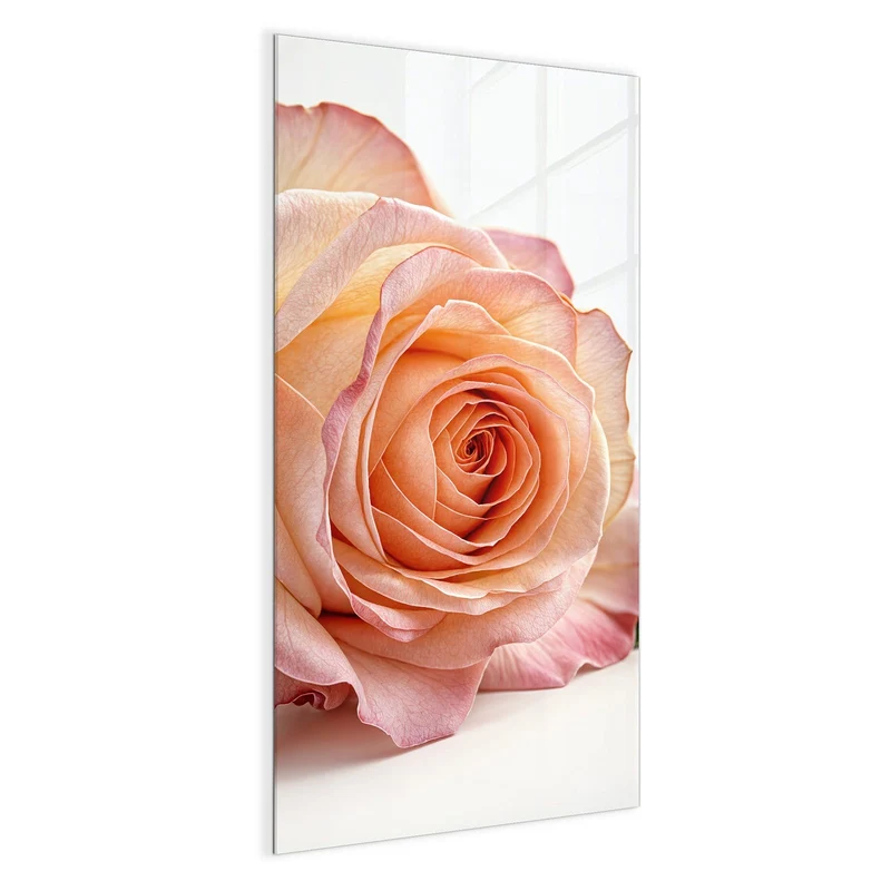 Magnettafel - Rose in Apricot