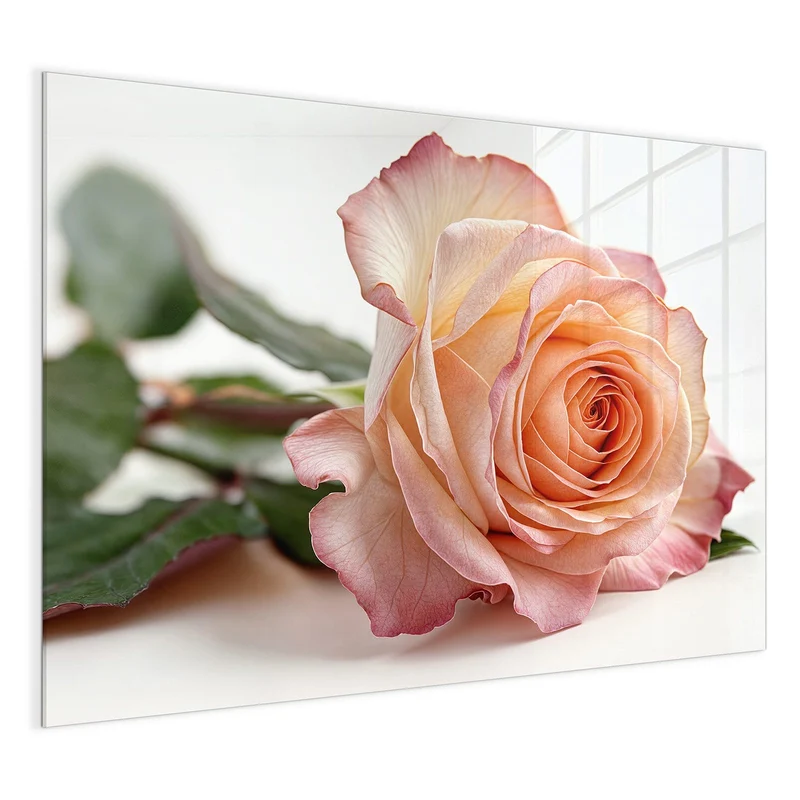Magnettafel - Rose in Apricot