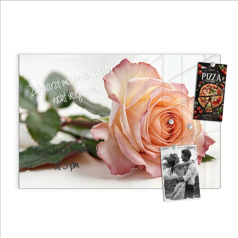Magnettafel - Rose in Apricot