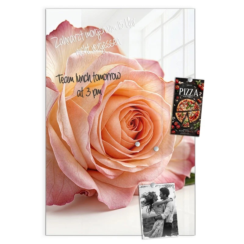 Magnettafel - Rose in Apricot