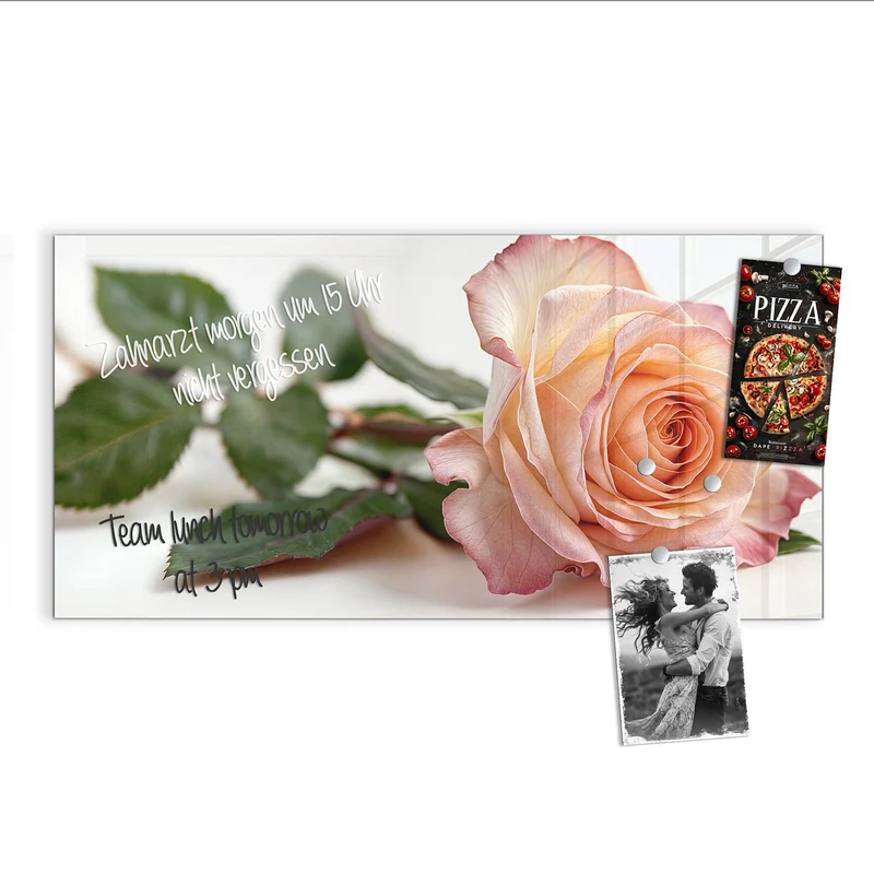 Magnettafel - Rose in Apricot