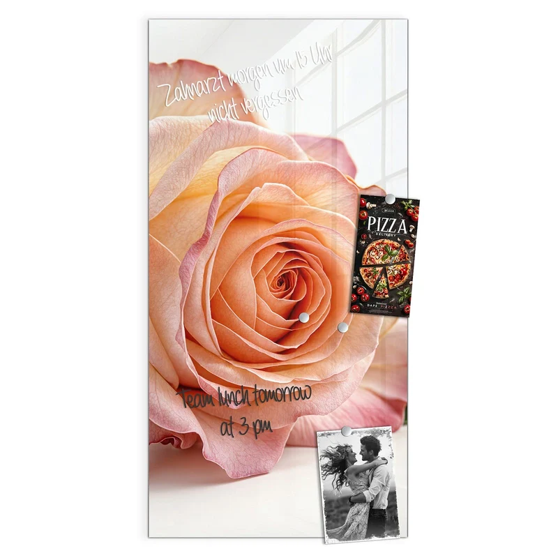 Magnettafel - Rose in Apricot