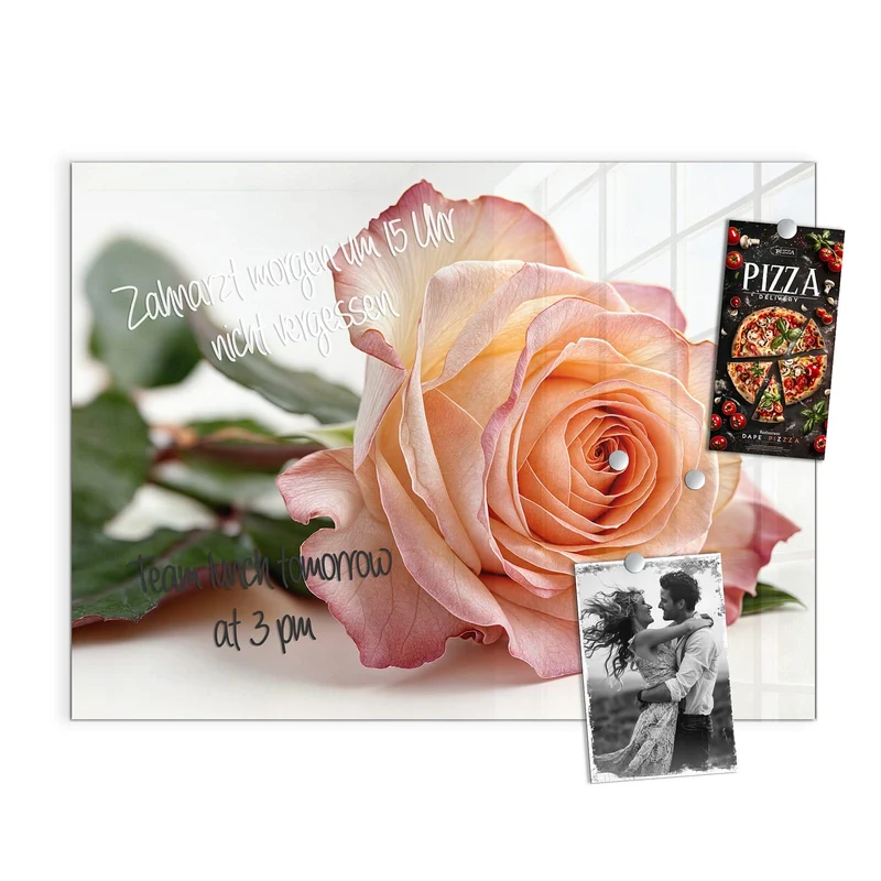 Magnettafel - Rose in Apricot