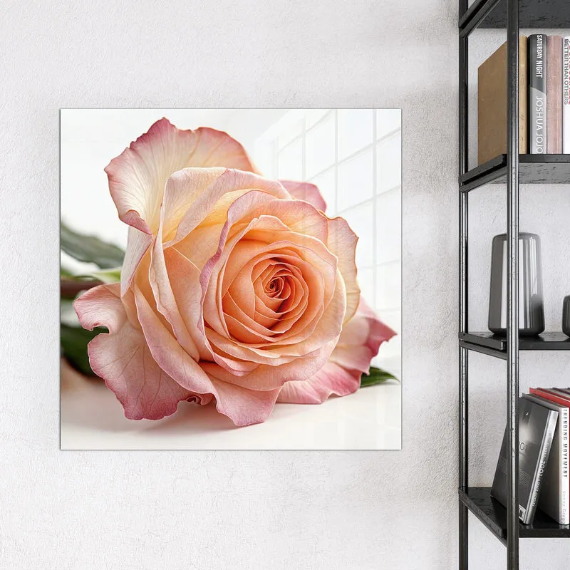 Magnettafel - Rose in Apricot