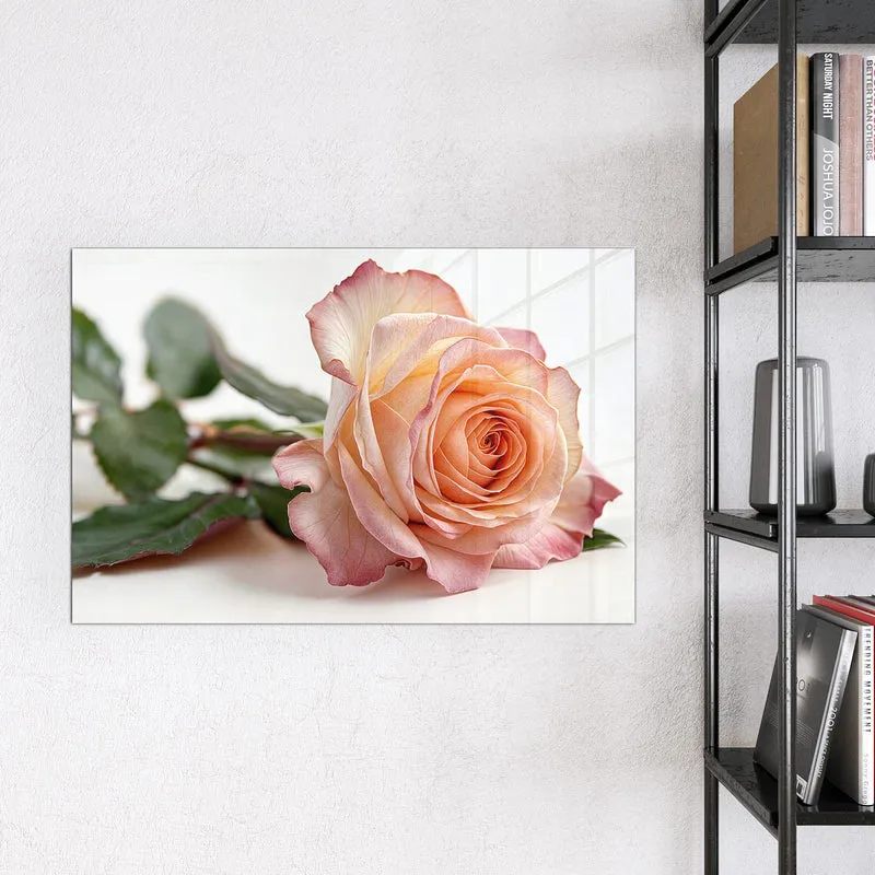 Magnettafel - Rose in Apricot