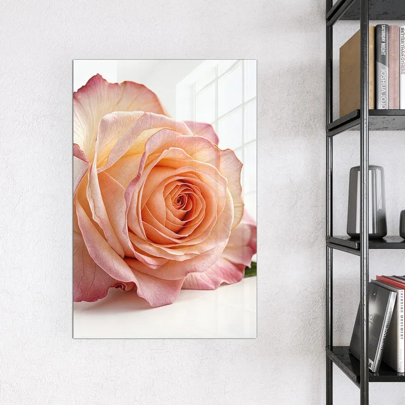 Magnettafel - Rose in Apricot